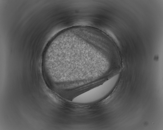 X0000092071035200710101014