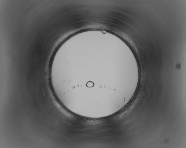 X0000092071037200710101014
