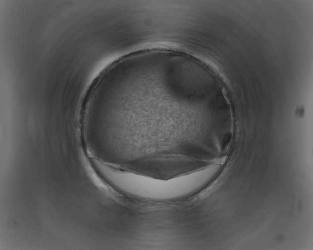 X0000092071038200710101014