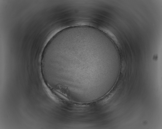 X0000092071039200710101014