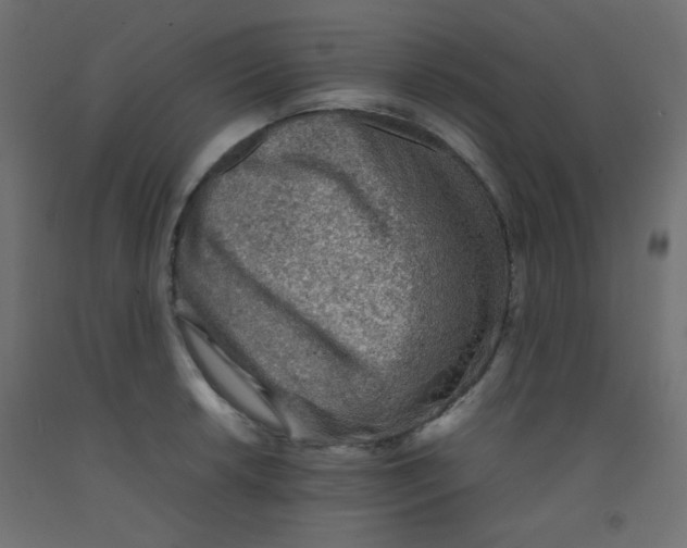 X0000092071042200710101014