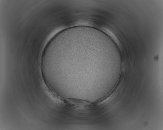 X0000092071043200710101014