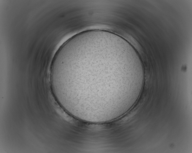 X0000092071044200710101014