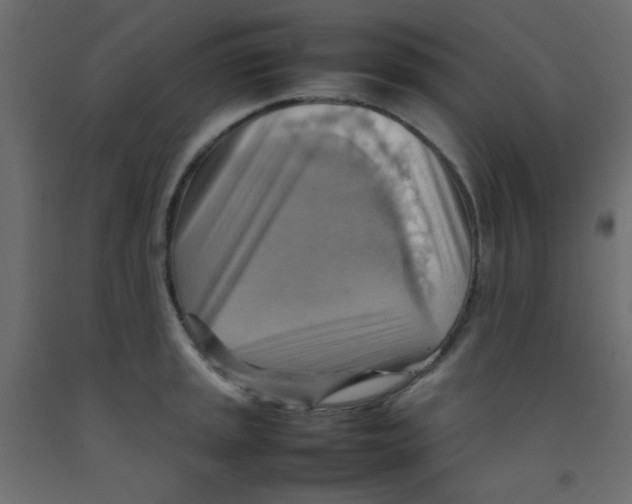 X0000092071045200710101014