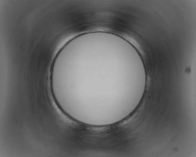 X0000092071047200710101014