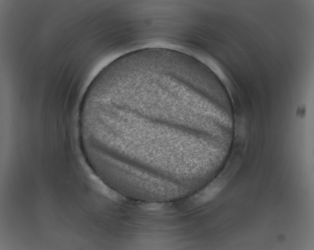 X0000092071048200710101014