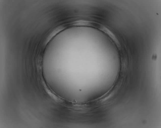 X0000092071049200710101014