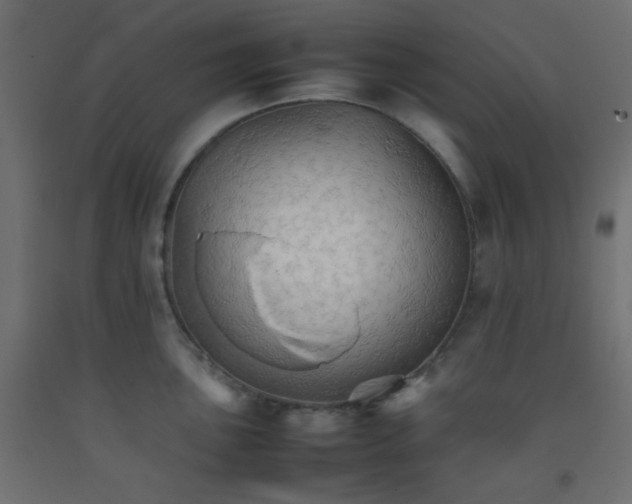 X0000092071051200710101014