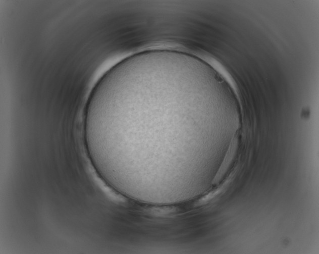 X0000092071053200710101014