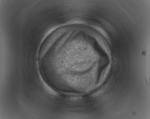 X0000092071055200710101014