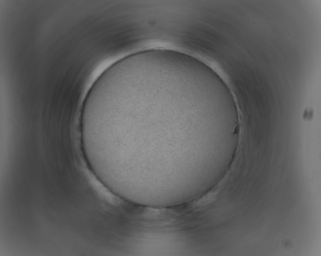 X0000092071056200710101014