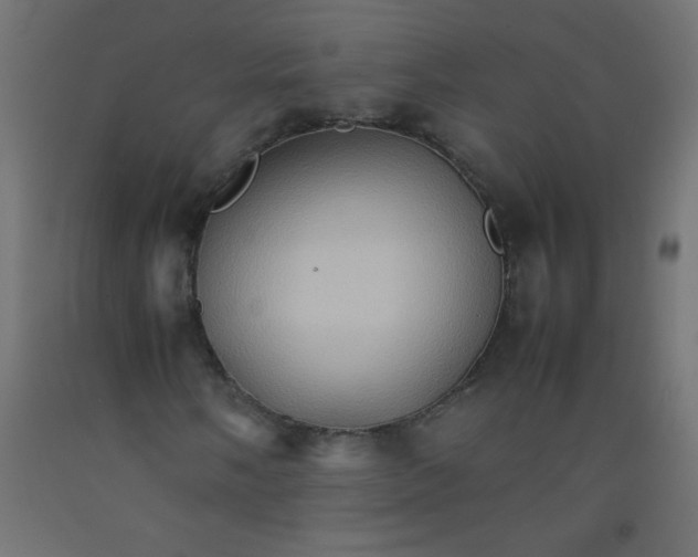 X0000092071058200710101014