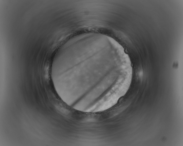 X0000092071060200710101014