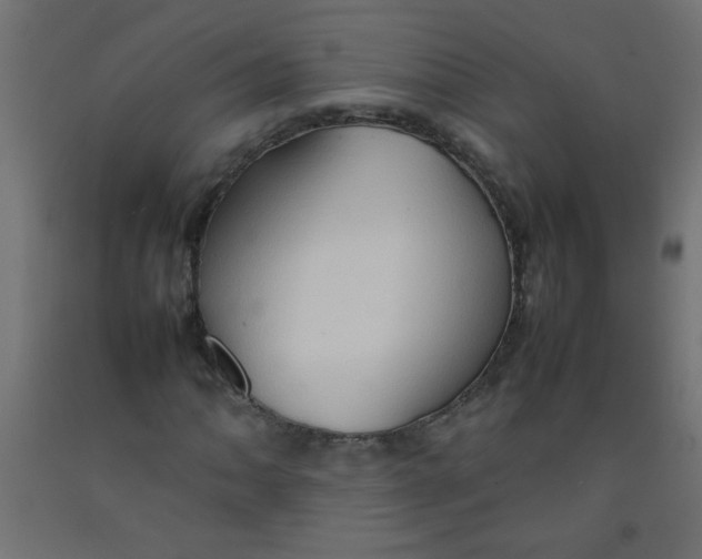 X0000092071062200710101013