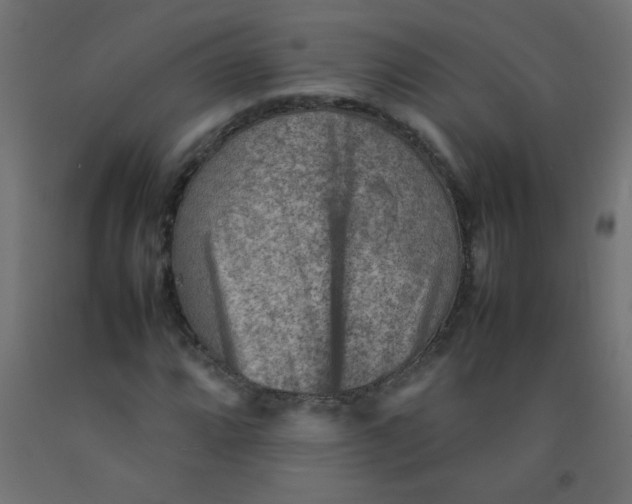 X0000092071064200710101013