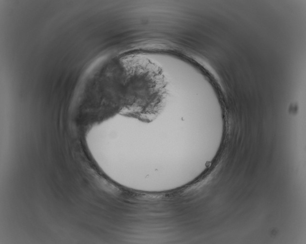 X0000092071067200710101013
