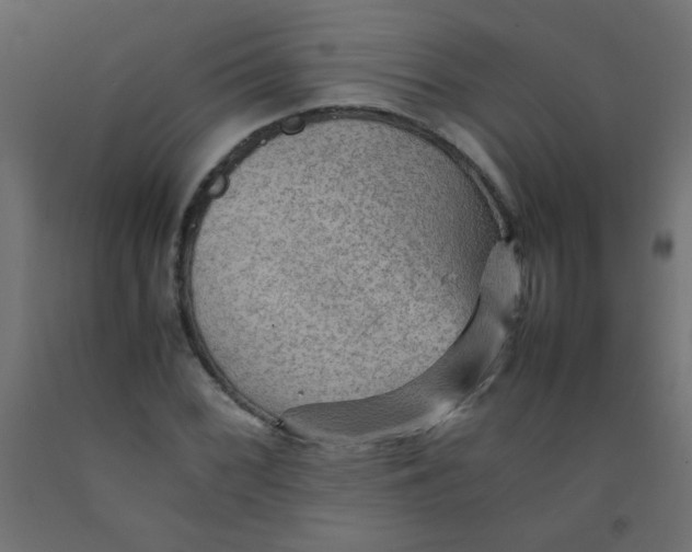 X0000092071068200710101013