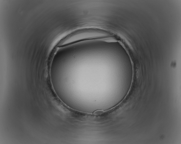 X0000092071069200710101013