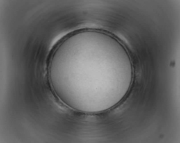 X0000092071070200710101013