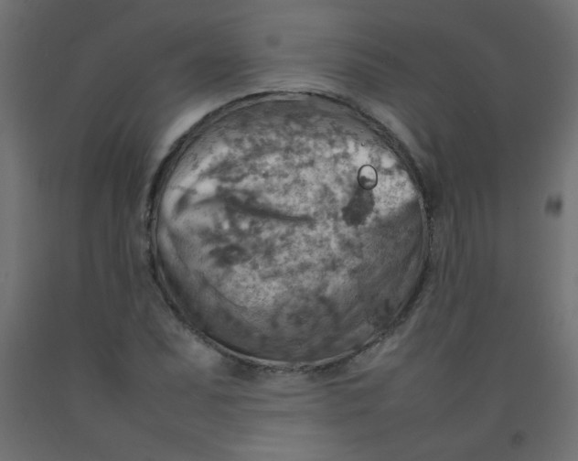 X0000092071071200710101013
