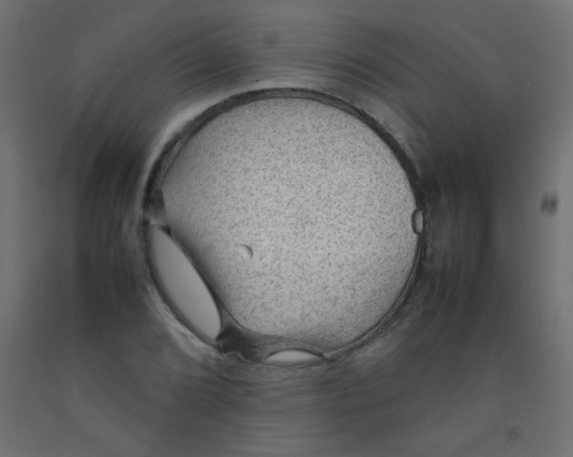 X0000092071072200710101013