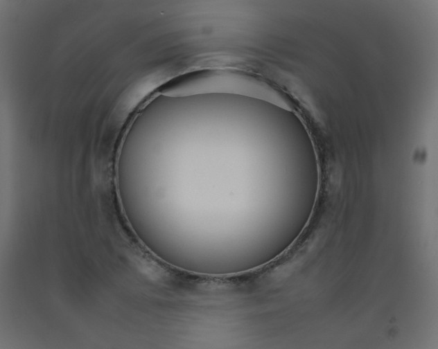 X0000092071073200710101013