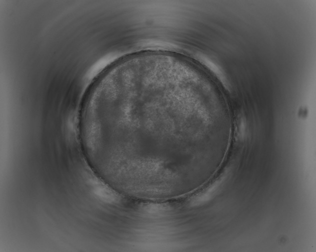 X0000092071074200710101013