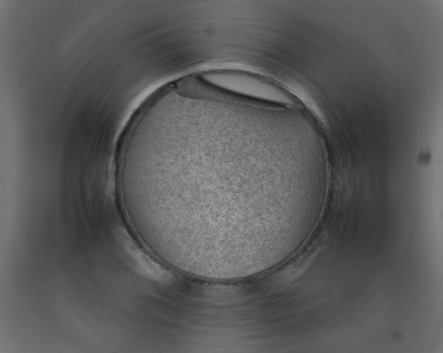 X0000092071076200710101013