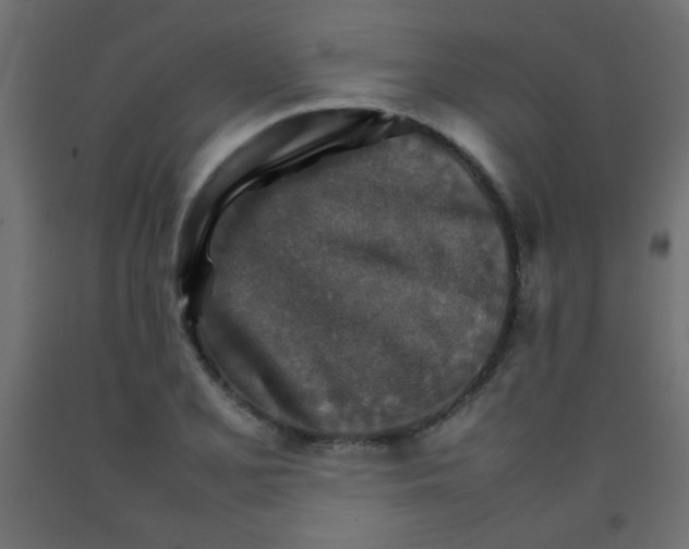 X0000092071077200710101013