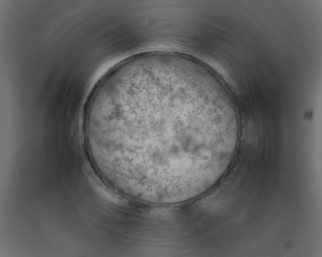 X0000092071078200710101013