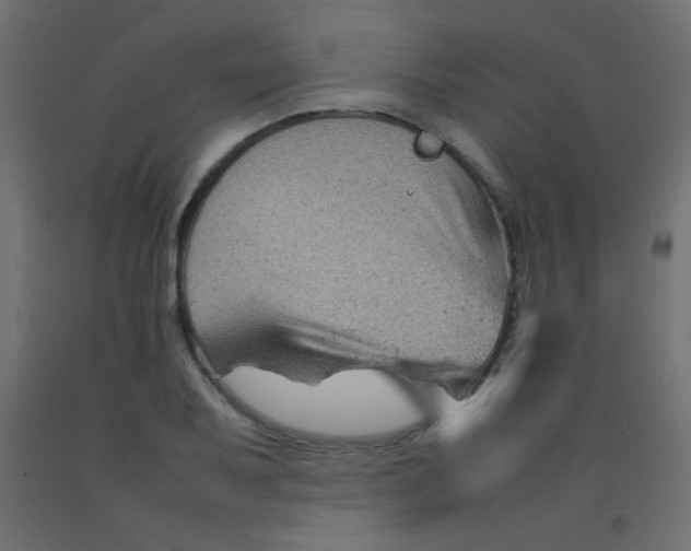 X0000092071079200710101013