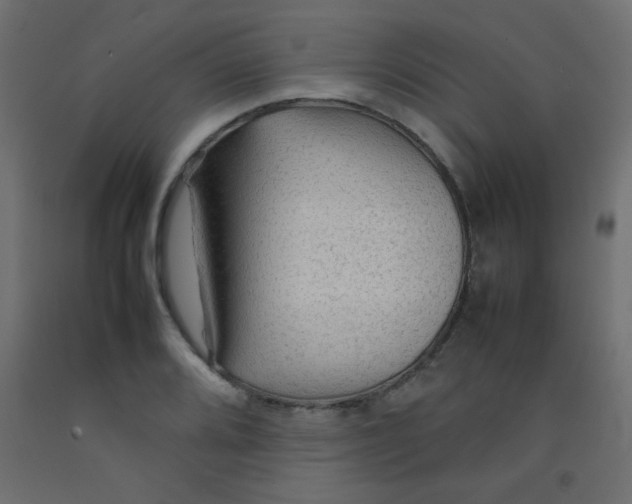 X0000092071080200710101013