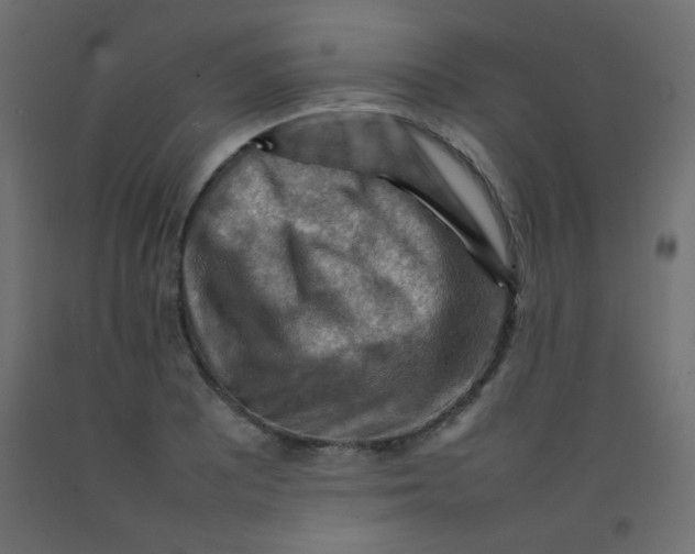 X0000092071081200710101013