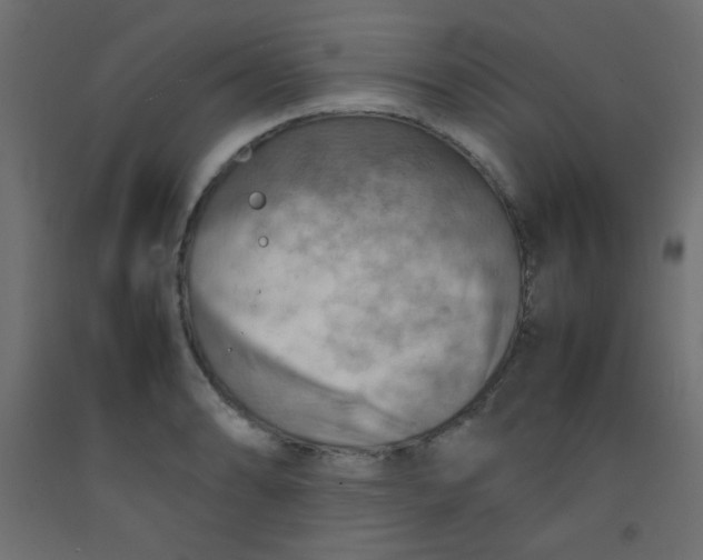 X0000092071086200710101013