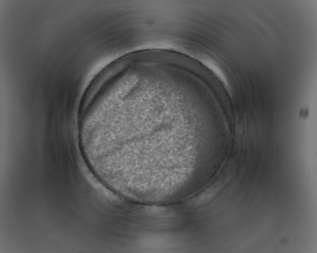 X0000092071088200710101013