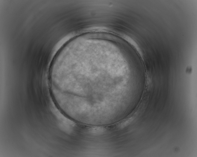 X0000092071090200710101013