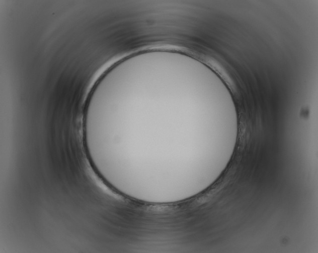 X0000092071092200710101013
