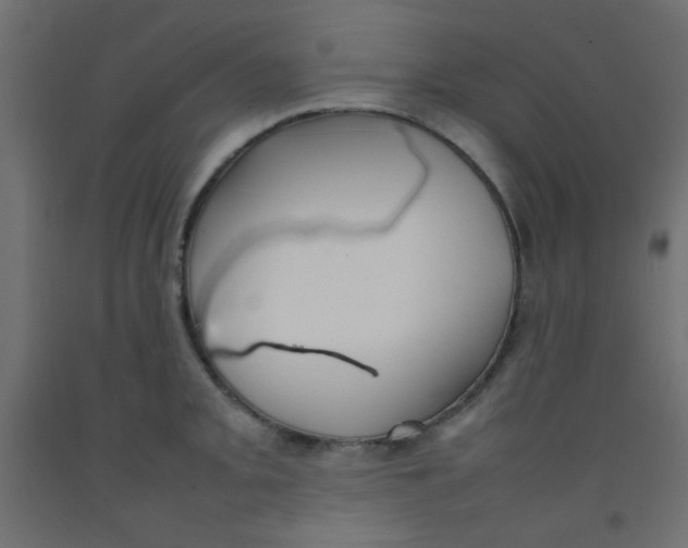 X0000092071093200710101013