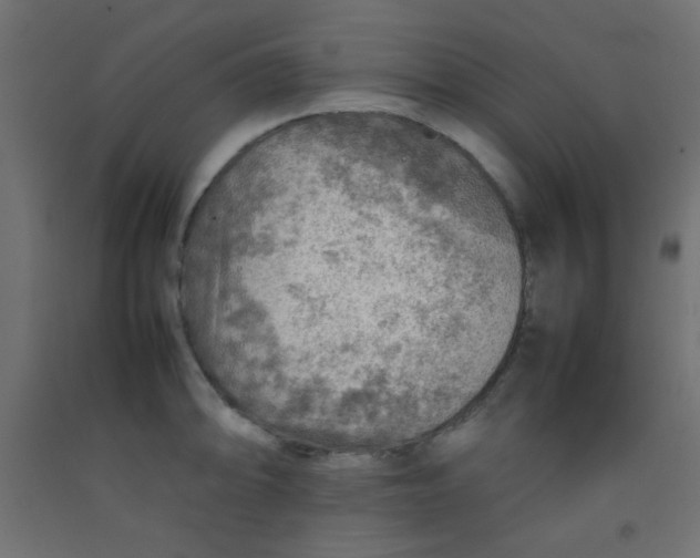 X0000092071094200710101013