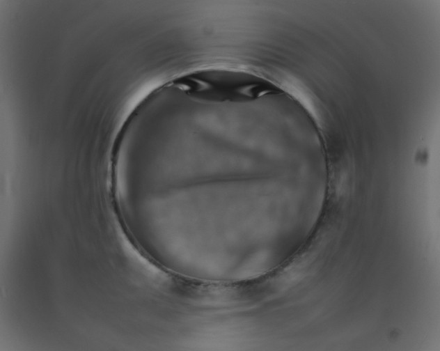 X0000092071095200710101013