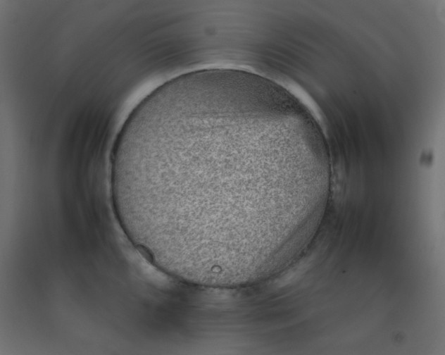 X0000092071096200710101013