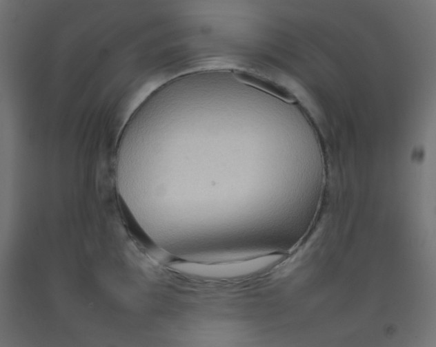 X0000092071097200710101013