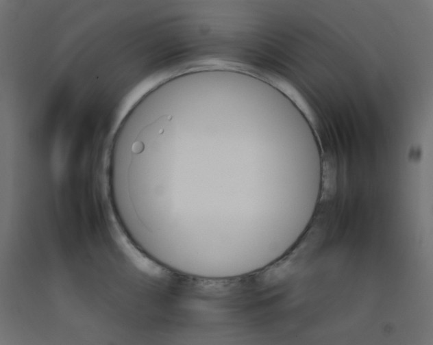 X0000092071098200710101013