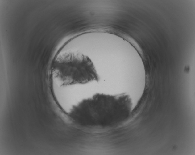 X0000092071099200710101013