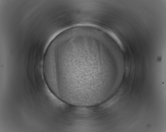 X0000092071100200710101013