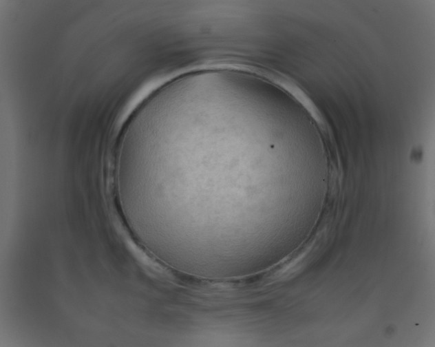 X0000092071101200710101013