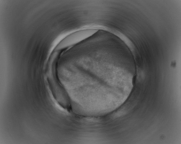 X0000092071102200710101013