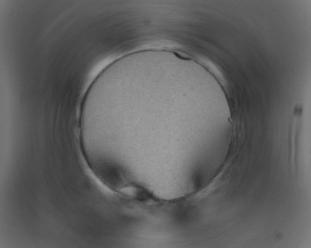 X0000092071103200710101013