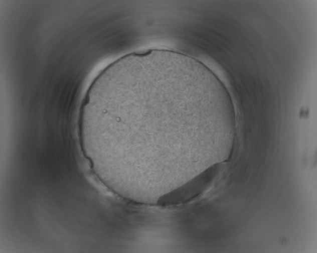 X0000092071104200710101013