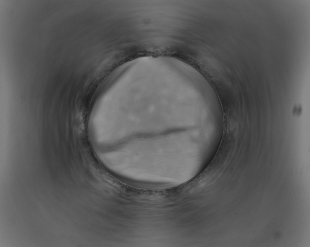 X0000092071106200710101012